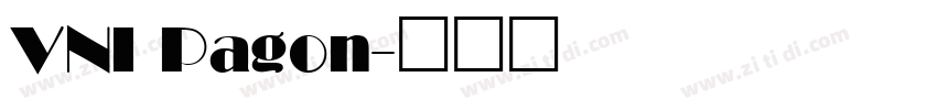 VNI Pagon字体转换